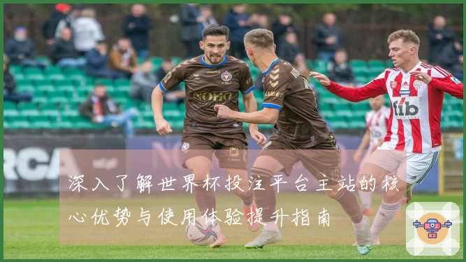 深入了解世界杯投注平台主站的核心优势与使用体验提升指南