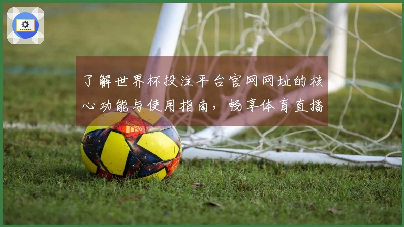 了解世界杯投注平台官网网址的核心功能与使用指南，畅享体育直播体验