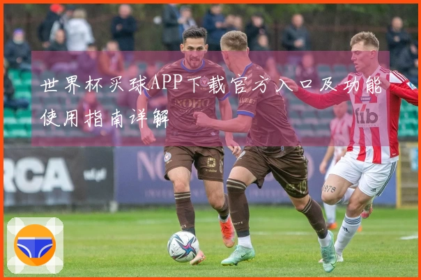世界杯买球APP下载官方入口及功能使用指南详解