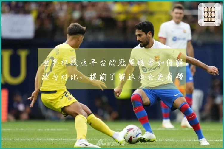 世界杯投注平台的冠军赔率如何解读与对比，提前了解这些会更有帮助