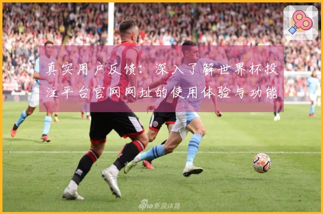 真实用户反馈：深入了解世界杯投注平台官网网址的使用体验与功能介绍
