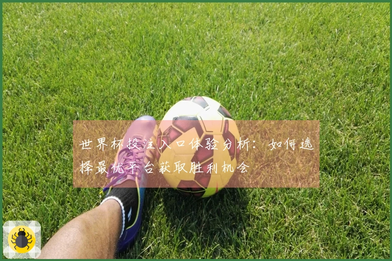 世界杯投注入口体验分析:如何选择最优平台获取胜利机会