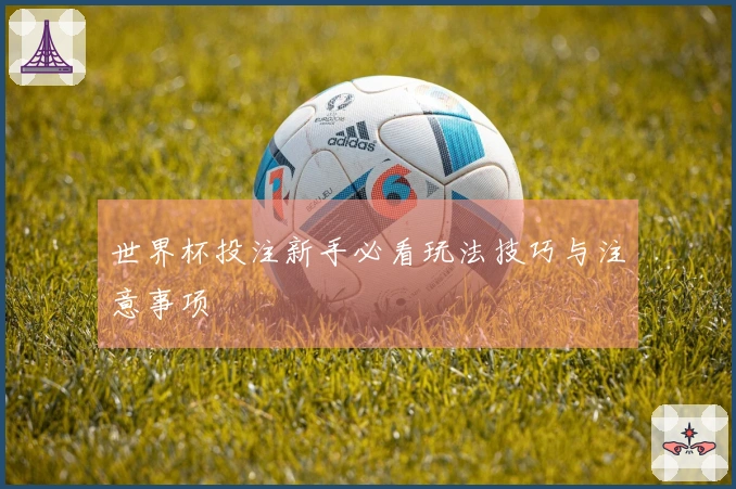 世界杯投注新手必看玩法技巧与注意事项