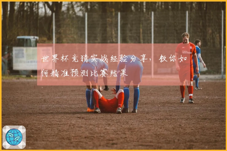 世界杯竞猜实战经验分享，教你如何精准预测比赛结果