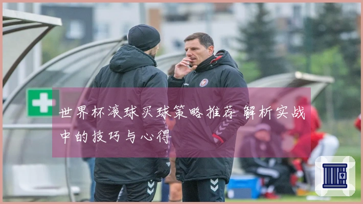 世界杯滚球买球策略推荐 解析实战中的技巧与心得
